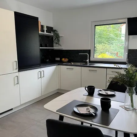 דירה Living-apartment-mit-kamin-und-terrasse דרזדן
