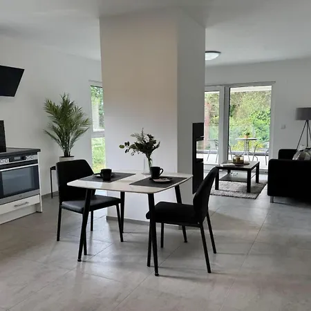 Living-apartment-mit-kamin-und-terrasse דרזדן