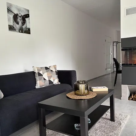 Living-apartment-mit-kamin-und-terrasse * דרזדן